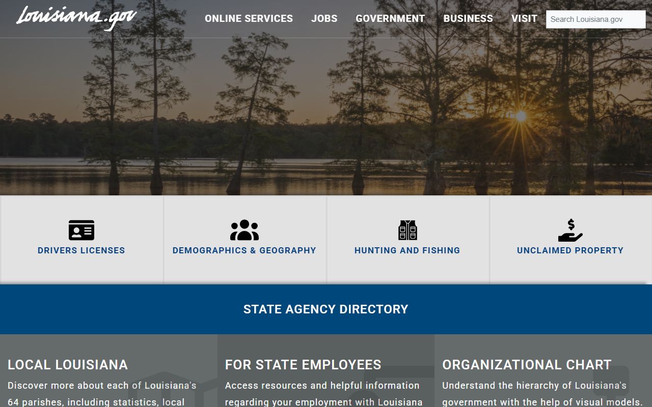 Louisiana state portal for traffic ticket records and public record access